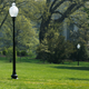 A yellow spot is seen where the tree planted by French president Emmanuel Macron and US president Donald Trump on April 23 stood on the South Lawn of the White House.
